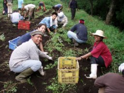 お盆はアジア学院で英語にチャレンジ！アジア学院Ｅｎｇｌｉｓｈキャンプ