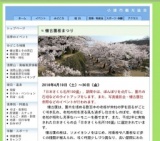 小諸市観光協会・懐古園桜まつり
