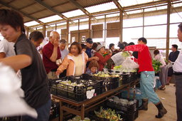 直売所　ぷちファーム