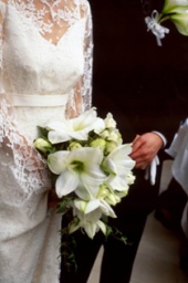 ハナ嫁キャンプ