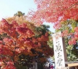 2010/11/27　世界遺産を巡るトレッキングパーティー！【吉野山】