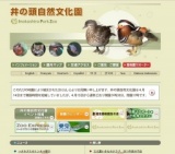 カイツブリのひな、順調に成長中