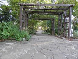 静鉄バスの皆さんと甲州山梨を楽しむ婚活パーティー