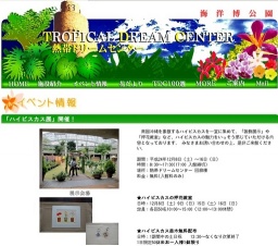 「ハイビスカス展」開催！