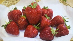 ドクター・アルジュネイドの連続講座 超高齢社会における若さづくりと健康づくり