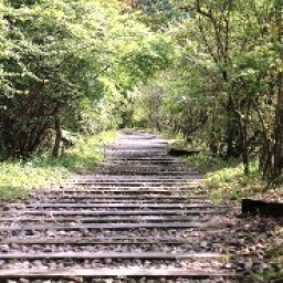 ◆7/12（日） 武田尾廃線跡ハイキングコン☆チャンス合ハイ☆【ハイキング 合コン】 - レクリエー...