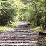 ◆7/12（日） 武田尾廃線跡ハイキングコン☆チャンス合ハイ☆【ハイキング 合コン】 - レクリエー...