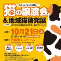 猫の譲渡会＆地域猫啓発展