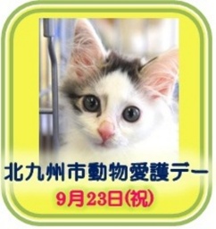 動物愛護デー