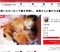 「飼い主のいない子猫を保護し、里親さんに繋げる活動を続けたい。」クラウドファンディング