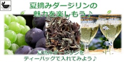 9/3(土) in新宿 「夏摘みダージリンの魅力を楽しむ♪」ミニセミナーを開催します！