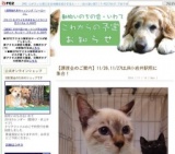 わんにゃんふれあい譲渡会