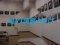 ABC写真クラブ、展示会