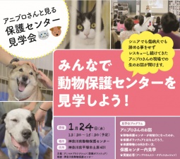 アニプロさんと見る保護センター見学会