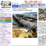 竜串・見残し体験フェア〜自然楽器作りと嫁泣かし定食〜（〜２／１） 【土佐清水市】