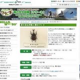 夏の昆虫採集と標本づくり[ハローウッズ]