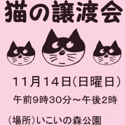 猫の譲渡会