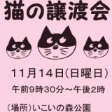 猫の譲渡会