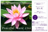 ヒーリングミュージック即興演奏ライブ「Peaceful Music Live」@カフェロイム
