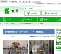 犬・猫譲渡会
