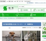 犬・猫譲渡会