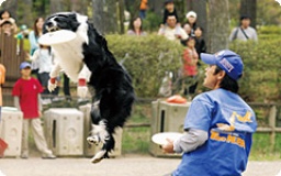 【犬好き集まれ】9月9日(日)【わんワンと遠足】