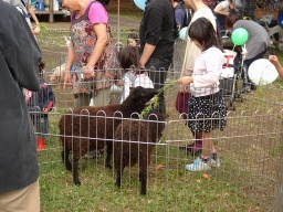 世田谷区制80周年 第31回世田谷区動物フェスティバル(都立砧公園)