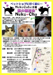 猫の譲渡会