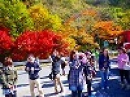 【スペシャルイベント バンガローお泊り☆テニス&観光&美味いもの&天体観測ツアー】社会人サ...