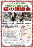 猫の譲渡会