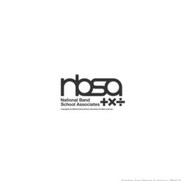 nbsa+×÷2008