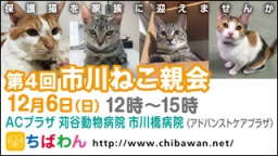 保護猫を家族に迎える譲渡会「ちばわん 市川ねこ親会」