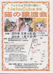 猫の譲渡会