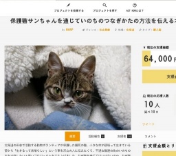 保護猫サンちゃんを通じていのちのつなぎかたの方法を伝える本を作りたい！