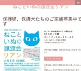 ねこといぬの譲渡会リアン