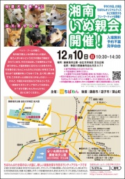12月10日 ちばわん湘南いぬ親会（40回）開催のご案内