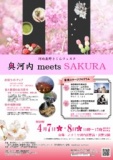 奥河内meets SAKURA