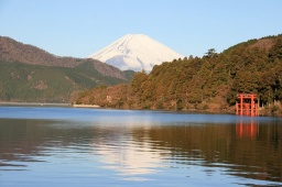 3月17日～18日(土・日)伊豆・熱海・箱根 生気あふれる自然と温泉を巡る