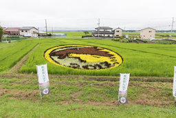 春の田植え祭2018 – みんなで田植え 相馬田んぼアートプロジェクト | Soma Tambo Art Project