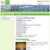 DreamLights Illumination(ドリームライツイルミネーション)点灯式