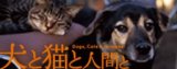 『犬と猫と人間と』自主上映会