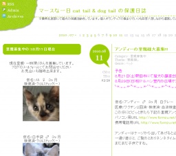 シェルター見学会 ｏｒ 猫犬譲渡会