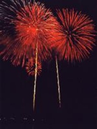 第17回根尾川花火大会