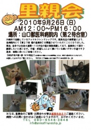 第27回猫の里親会