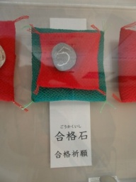 「みつけられるかな　自然のカタチ」展