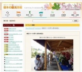 鹿沼さつき祭り(第40回)