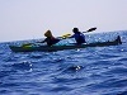 平日アウトドア シーカヤックツアー  社会人サークルFEAD