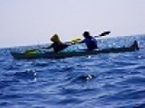 平日アウトドア　シーカヤックツアー　　社会人サークルFEAD