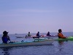 平日アウトドア　シーカヤックツアー　　社会人サークルFEAD