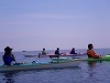 平日アウトドア　シーカヤックツアー　　社会人サークルFEAD